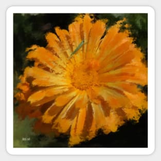 Orange Daisy Sticker